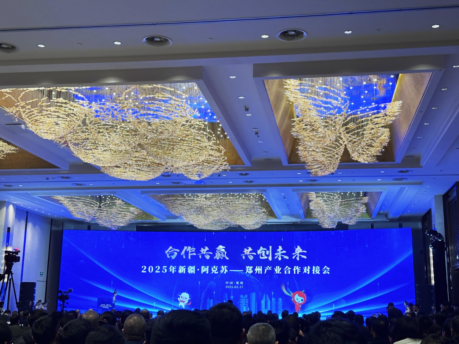 微信图片_20250217132643_副本_副本