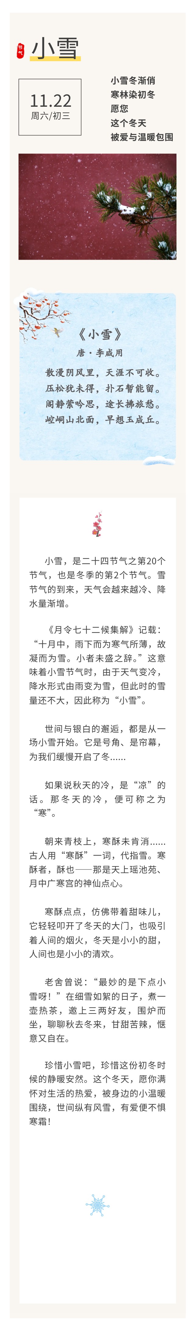 小雪 (2)