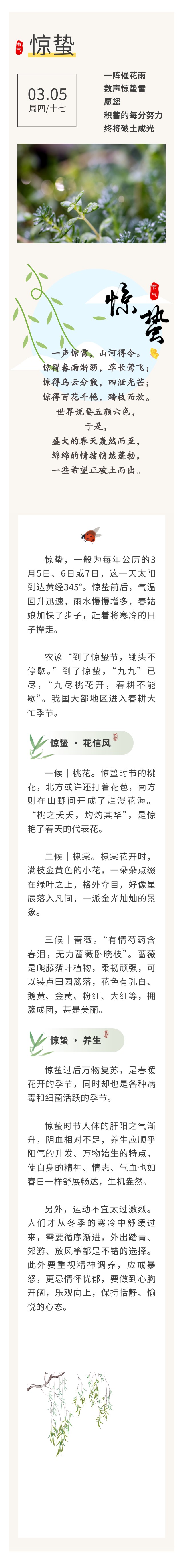 show_684922371_1772588002029