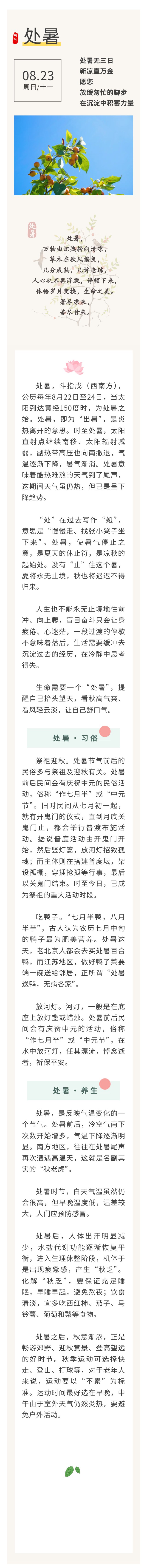 处暑