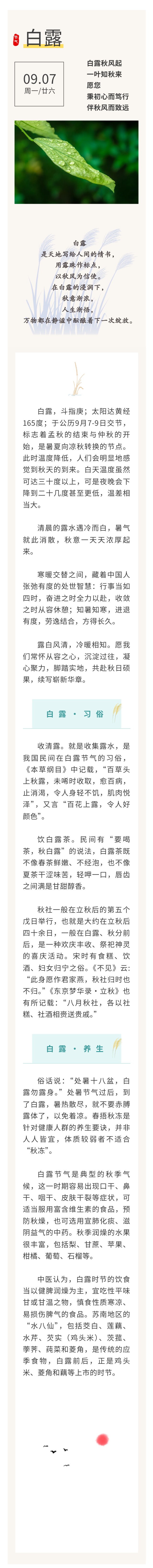 白露
