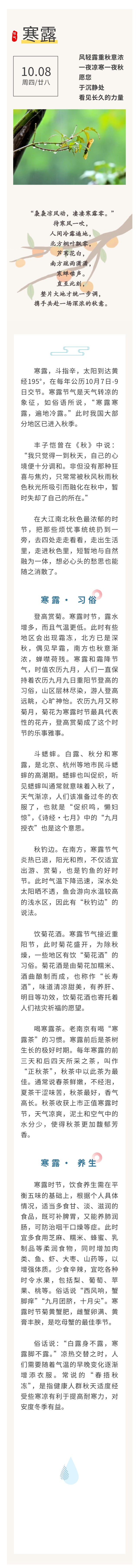 寒露